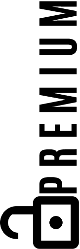 premium logo